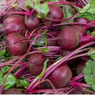 Buah Bit 1kg