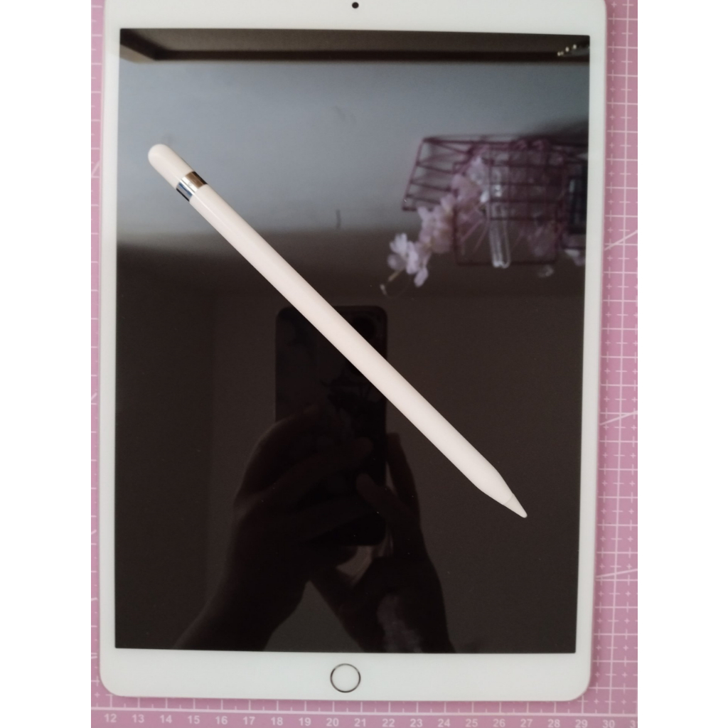 iPad Pro 10.5 inch 2017 256GB Wifi Only + Apple Pencil Gen 1 Second Set