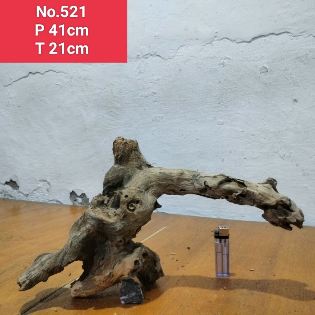 bonggolan akar santigi laut kayu santigi dekorasi aquascape aquarium 521