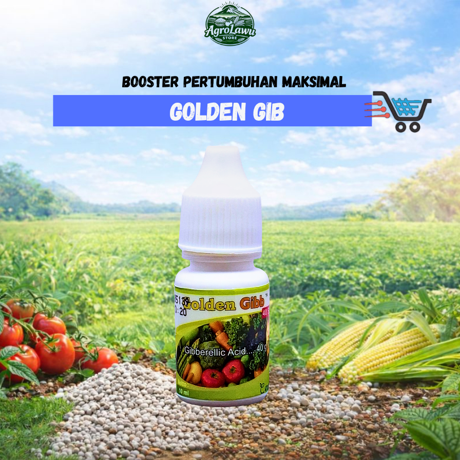 Golden Gib: Booster Pertumbuhan Maksimal, Panen Melimpah dengan Kualitas Jawara