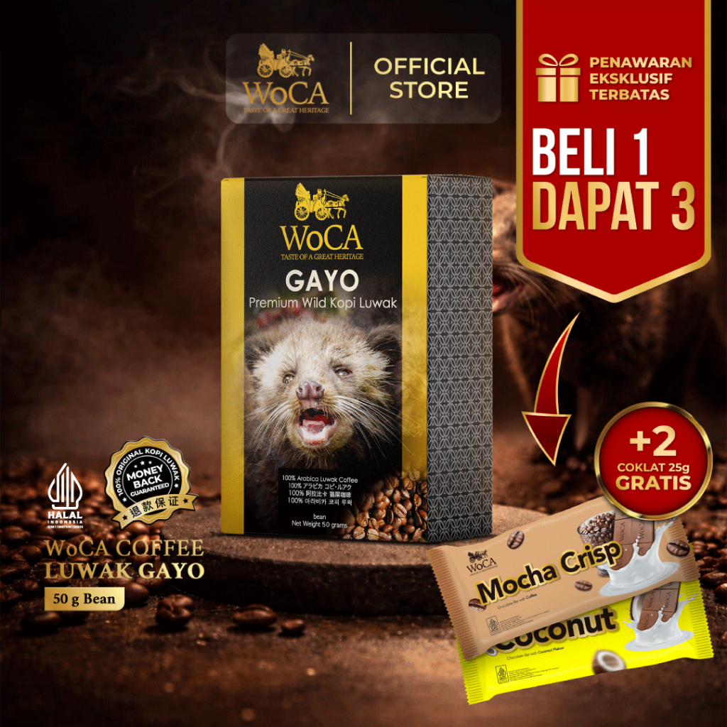 WoCA Kopi Luwak Gayo 50 gram Bean