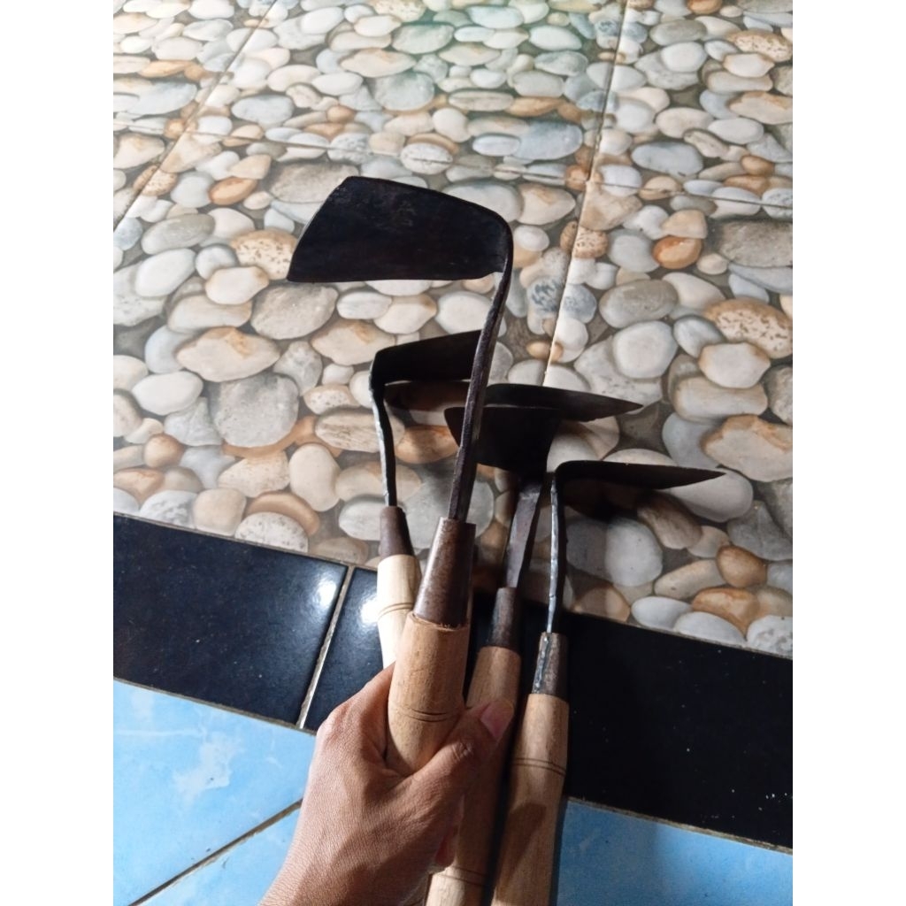 cublik ( wangkil babat rumput)