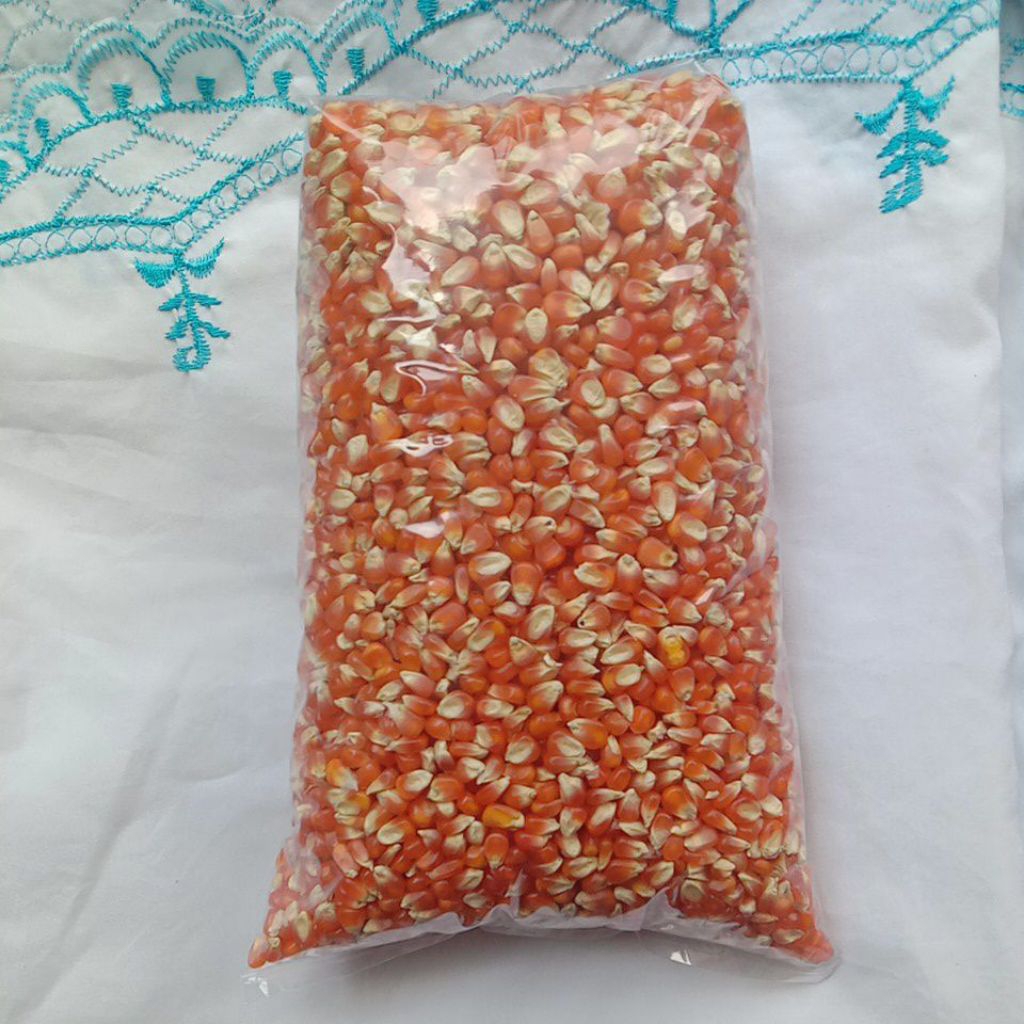 JAGUNG OREN | JAGUNG KRISTAL OREN | JAGUNG KECIL OREN / JAGUNG UNYIL / JAGUNG