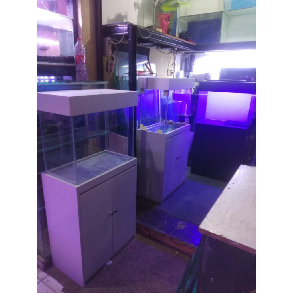 Custum Aquarium 100x50x50