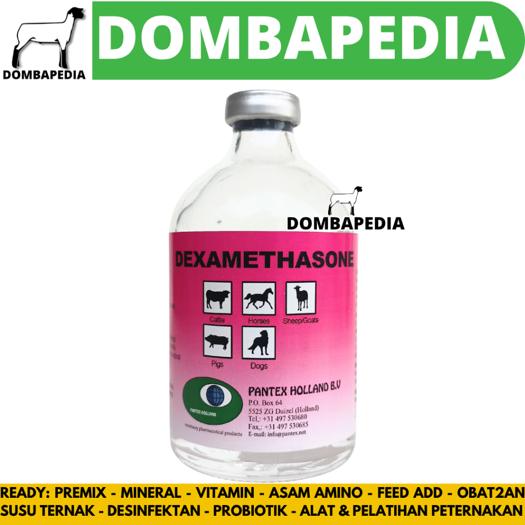 PANTEX DEXAMETHASONE 100 ML - Obat Hewan Anti Radang Anti Inflamasi Ternak Sapi Kambing Anjing
