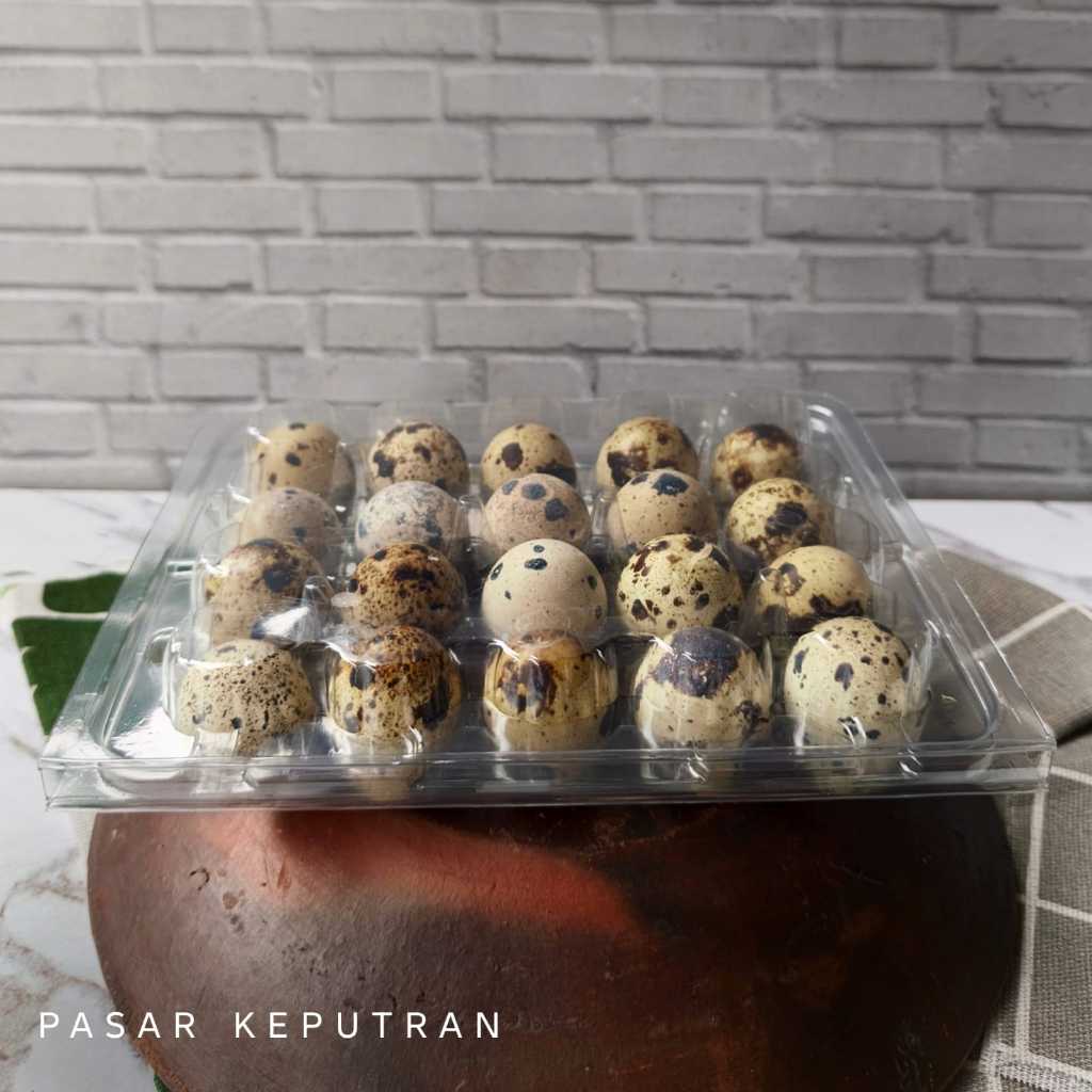 Telur puyuh/telur puyuh mentah 20 biji