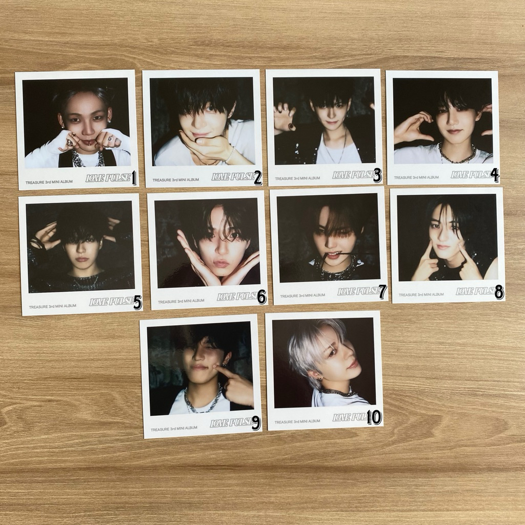 OFFICIAL POLAROID TREASURE MEMBER