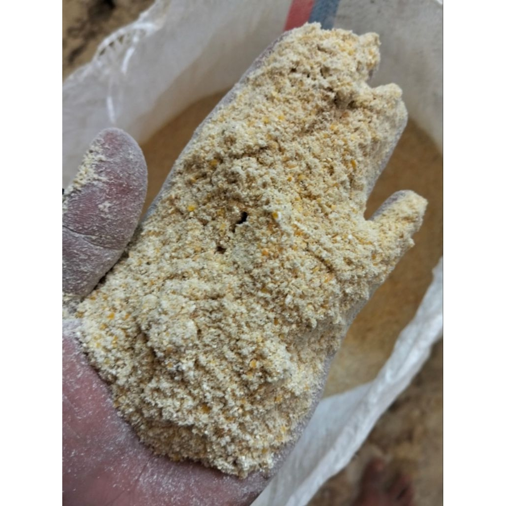 grosir Tepung Jagung Berkualitas Pakan Ternak