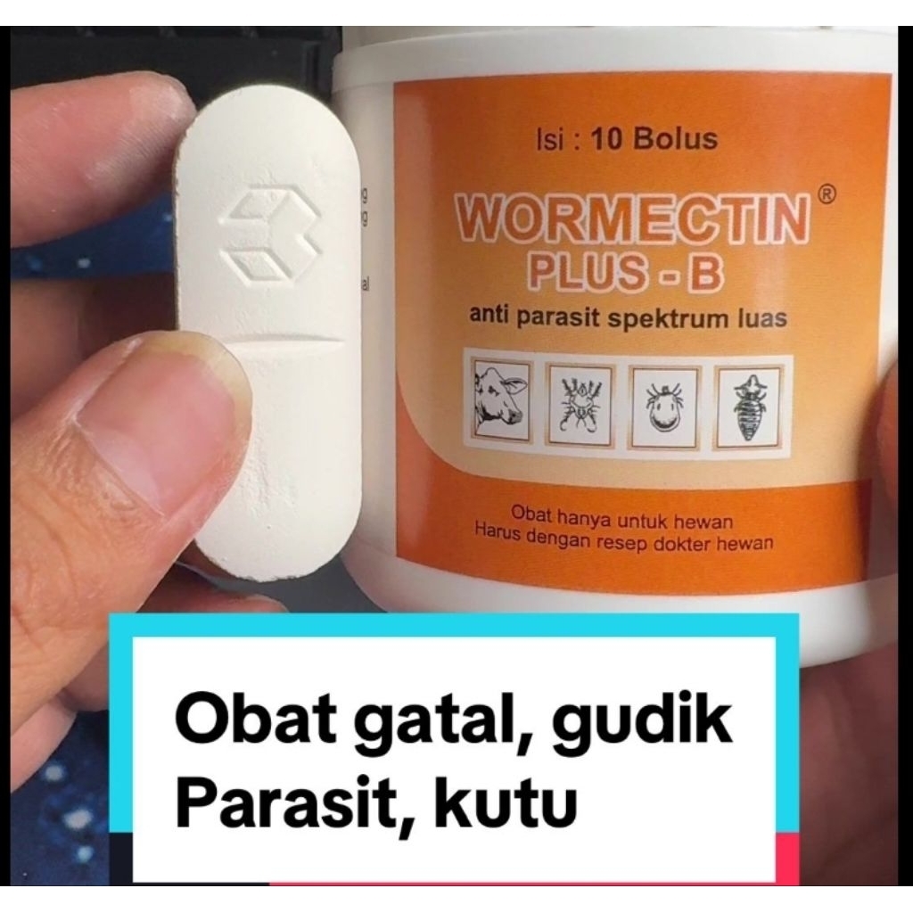 Wormectin bolus obat sapi kambing /mengatasi parasit hewan