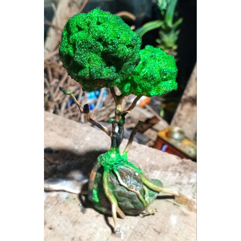 Bonsai Aquascape Mini Hiasan Aquarium Akar Senggani