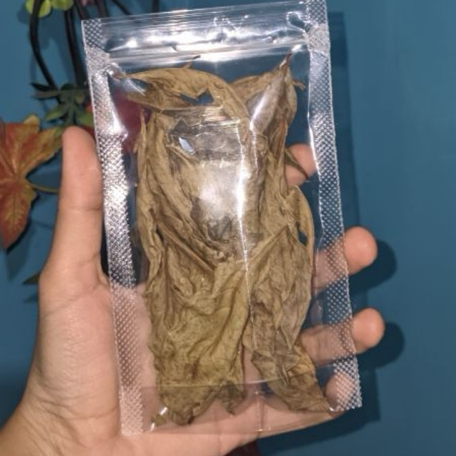 25gr DAUN MAHKOTA DEWA KERING BANYAK MANFAAT