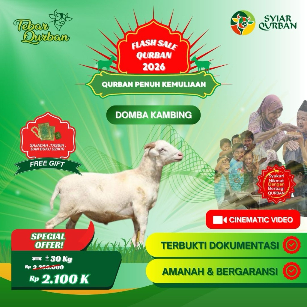 Domba Kambing Qurban Tebar Qurban