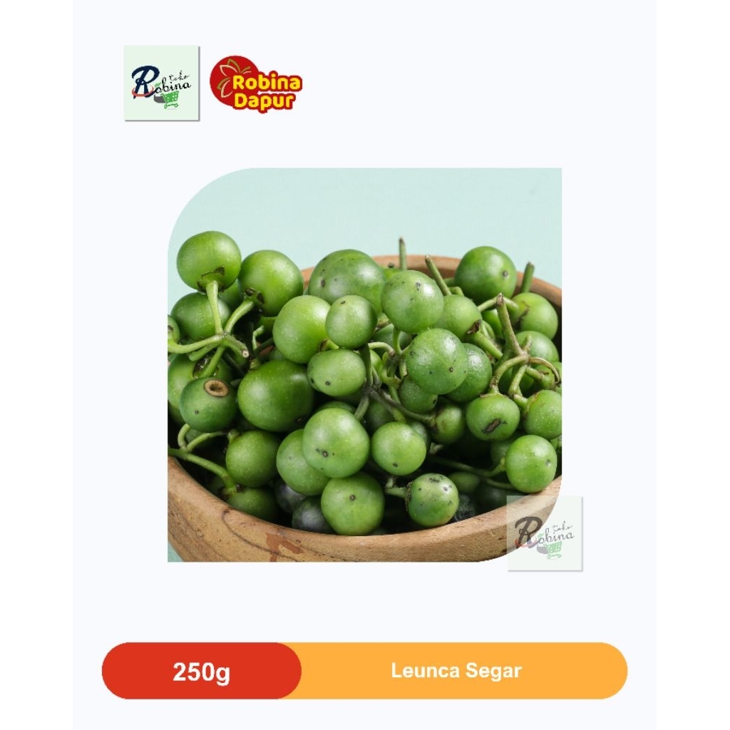 Leunca Sayur Segar 250 gr
