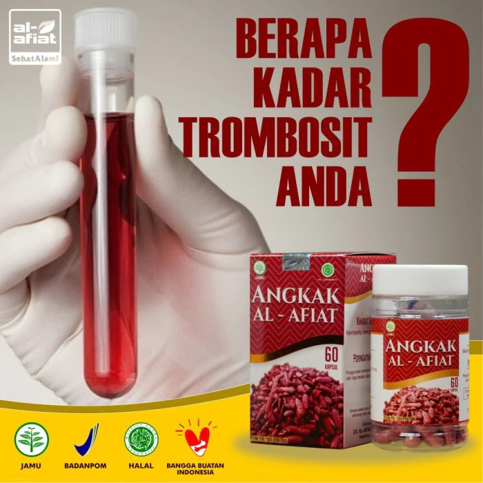 Kapsul Angkak Al Afiat isi 60 - Kapsul Angkak - Obat DBD - Kapsul Angkak ASLI