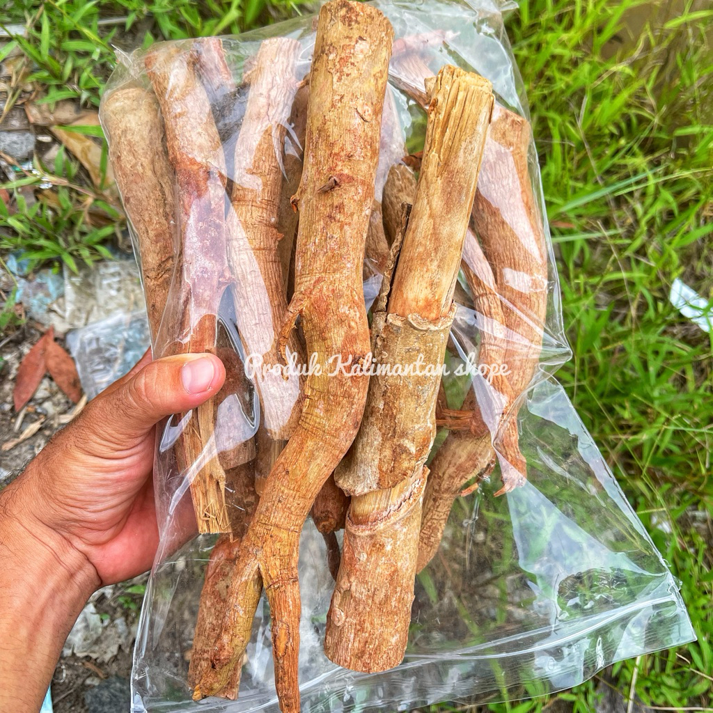 Akar Pasak Bumi Merah Kalimantan , Tongkat Ali Merah Ginseng Hutan Kering