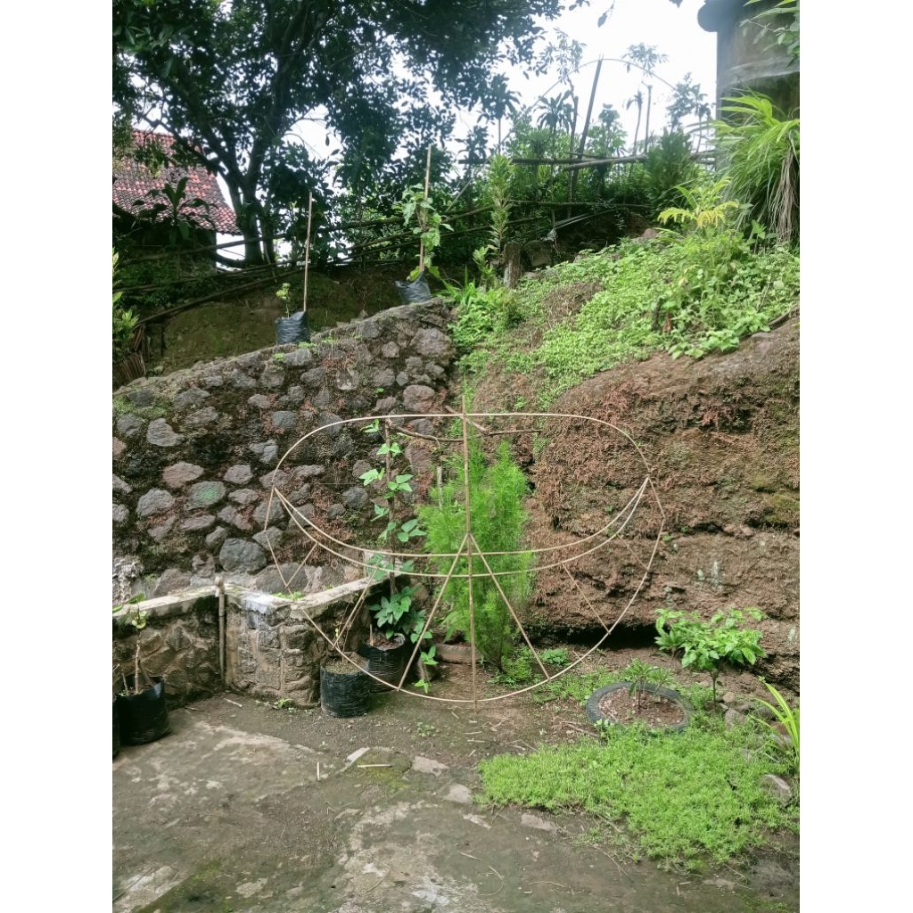 Rangka layangan pegon ceper sayap mentah 2meter