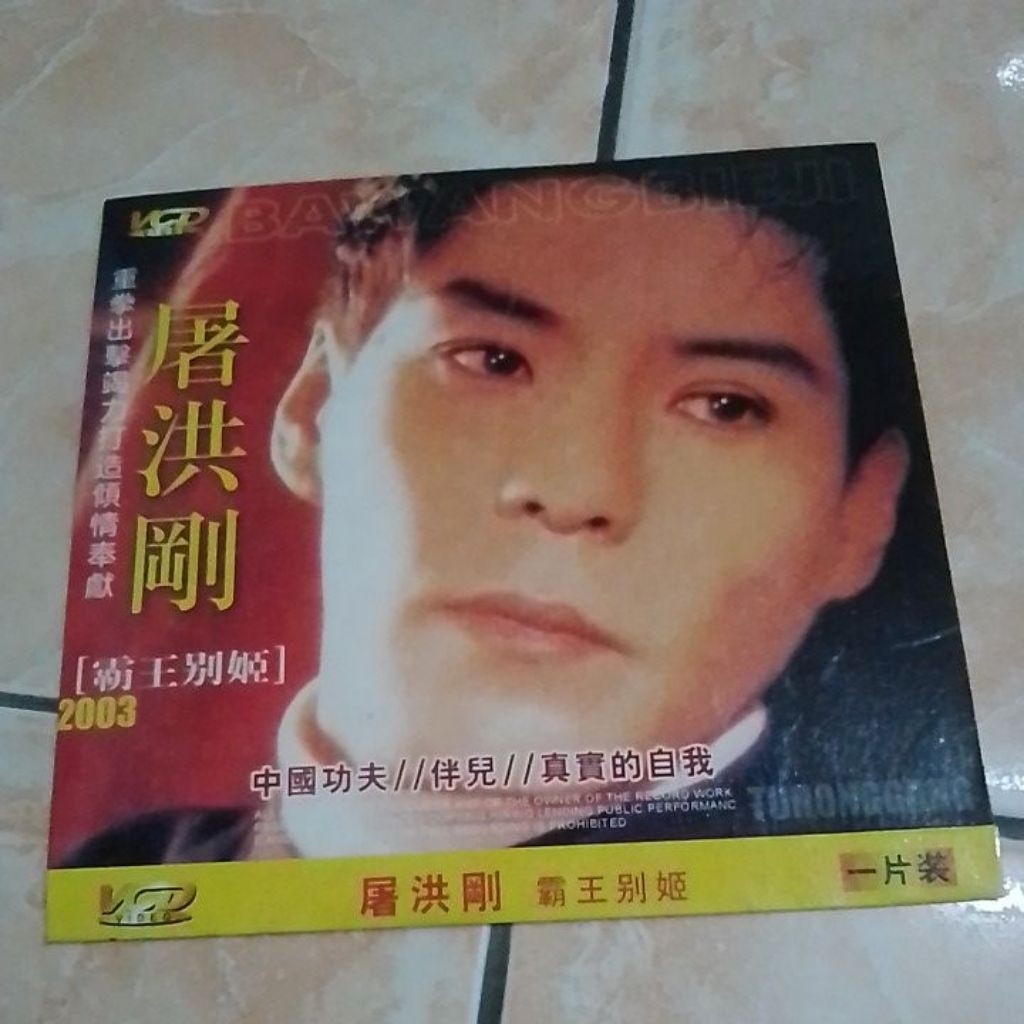 VCD MANDARIN TOHONGGANG