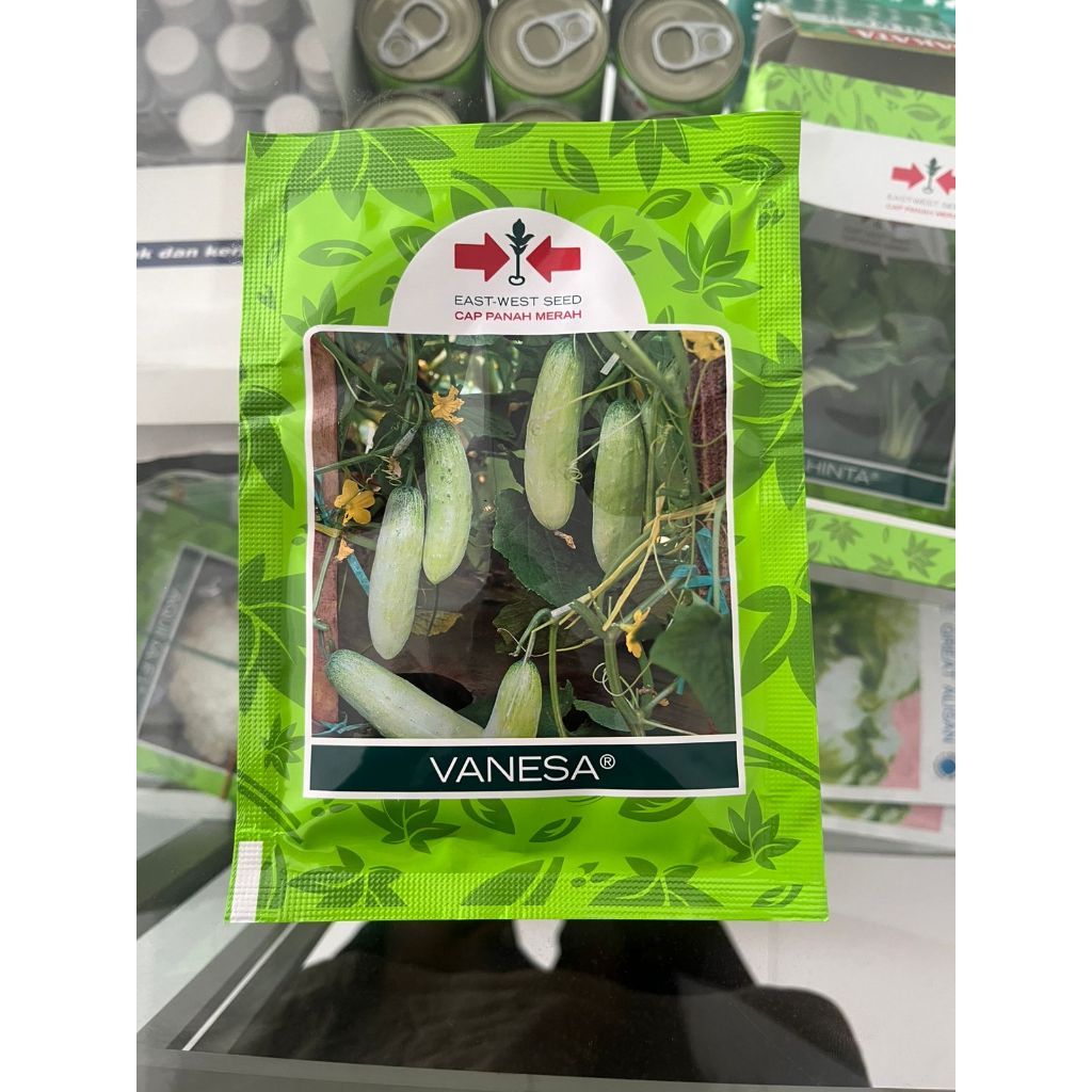 Benih Vanesa 20 gram Timun Cap Panah Merah / Timun Baby