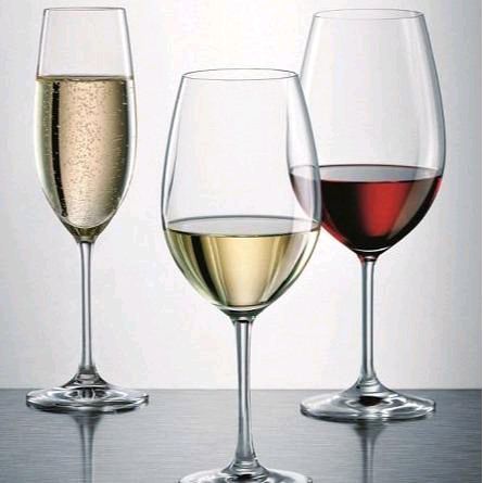 Schott Zwiesel Ivento / Wine Glass / Flute Glass / Gelas Wine