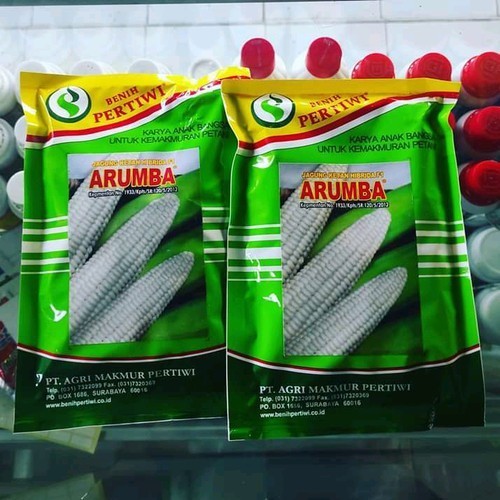 Benih / bibit jagung putih pulut manis ARUMBA jagung arumba 250 gr dari benih pertiwi jagung ketan m
