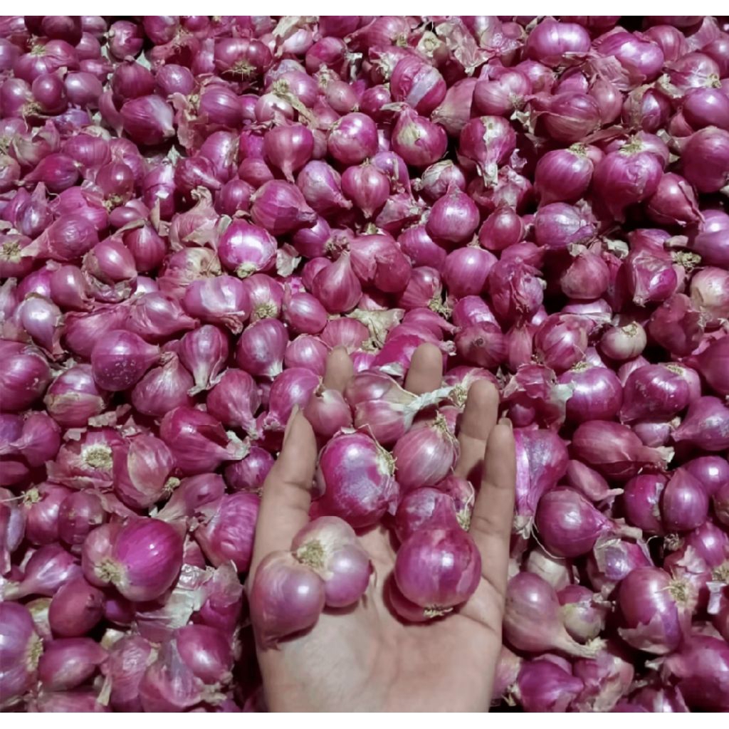 Bawang Merah lokal 1 kg
