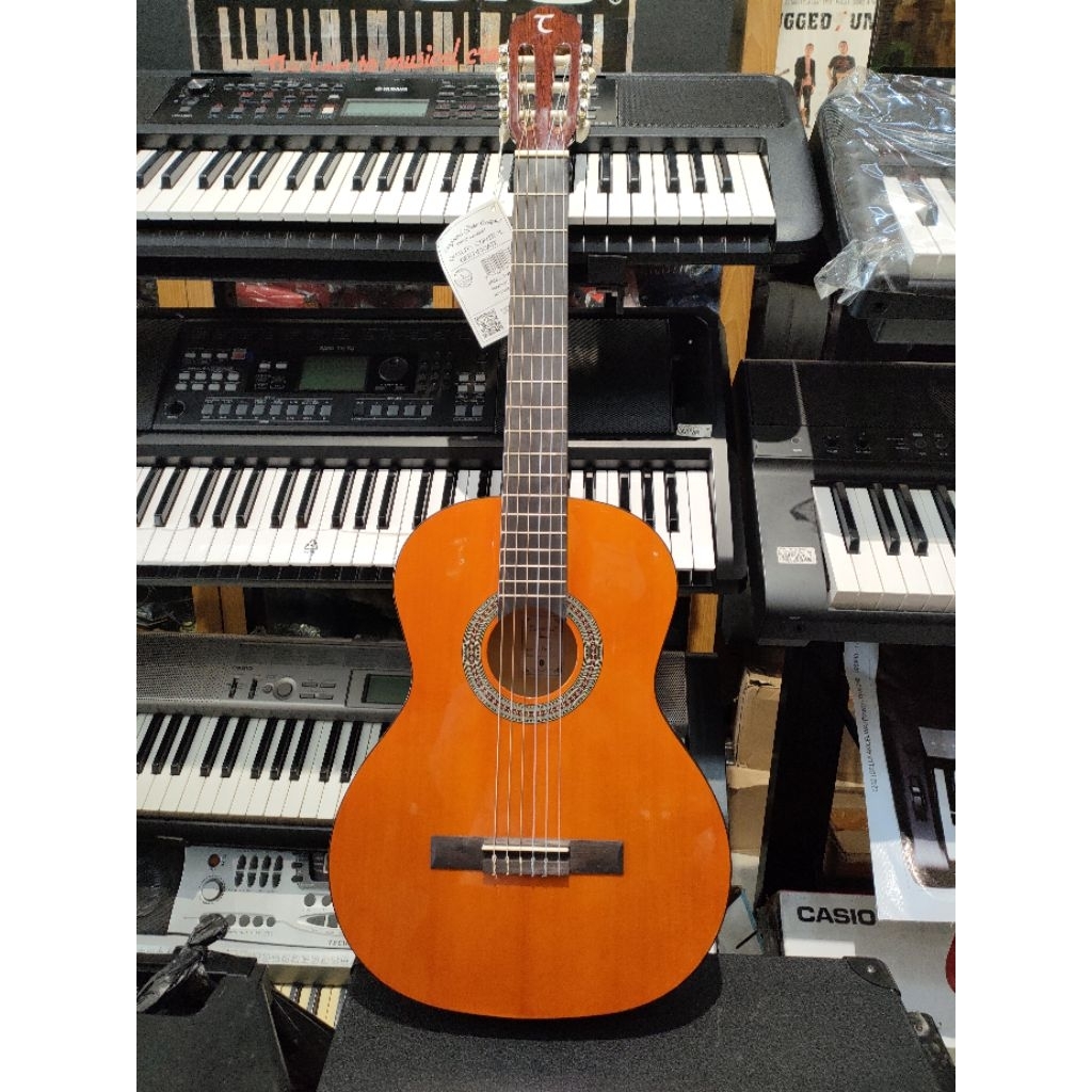 Gitar Klasik TANGLEWOOD Tw44