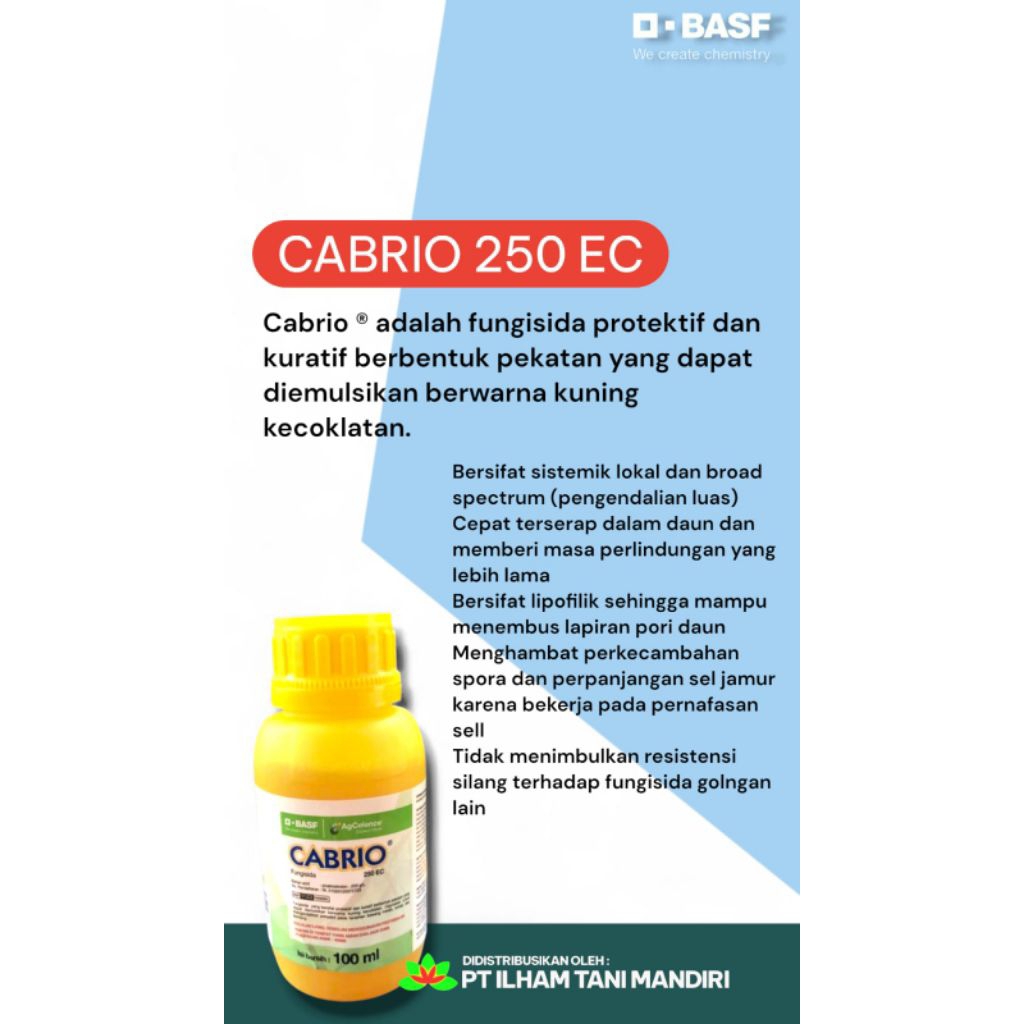 CABRIO 100 ML