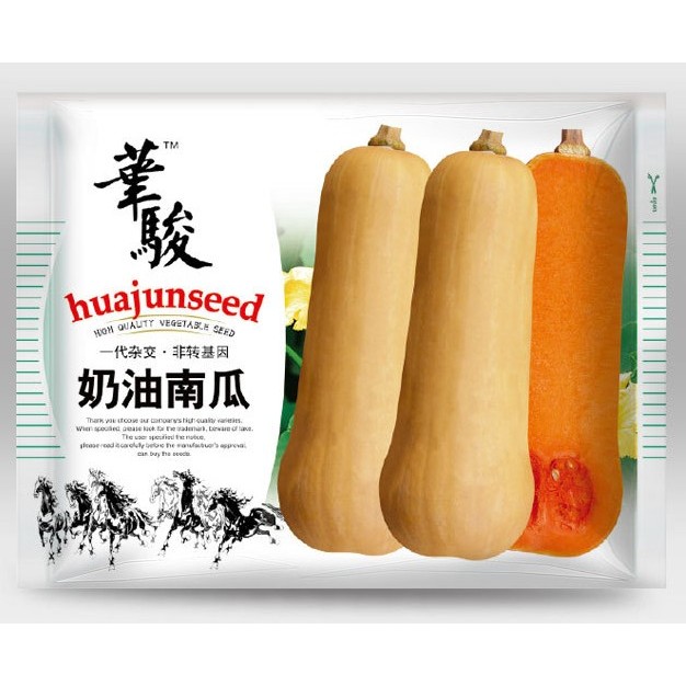 Benih Labu Butternut Squash 20 Biji F1 Import