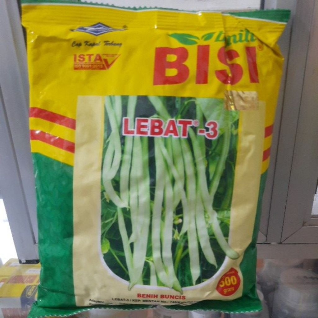 BUNCIS LEBAT 3