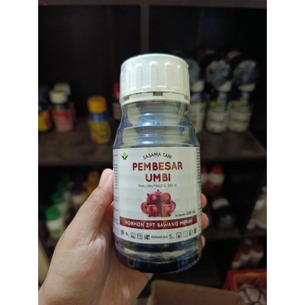 PUPUK PEMBESAR UMBI BAWANG MERAH Paklobutrazol 250 SC + Zpt Bawang Merah