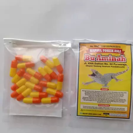 Kapsul Tokek Asli Bu Aminah Banyak Khasiat Kesehatan Kulit