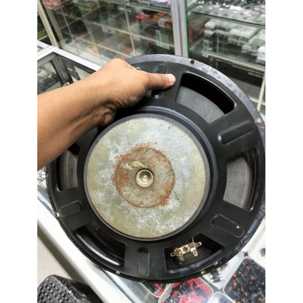 speker 15 in curve