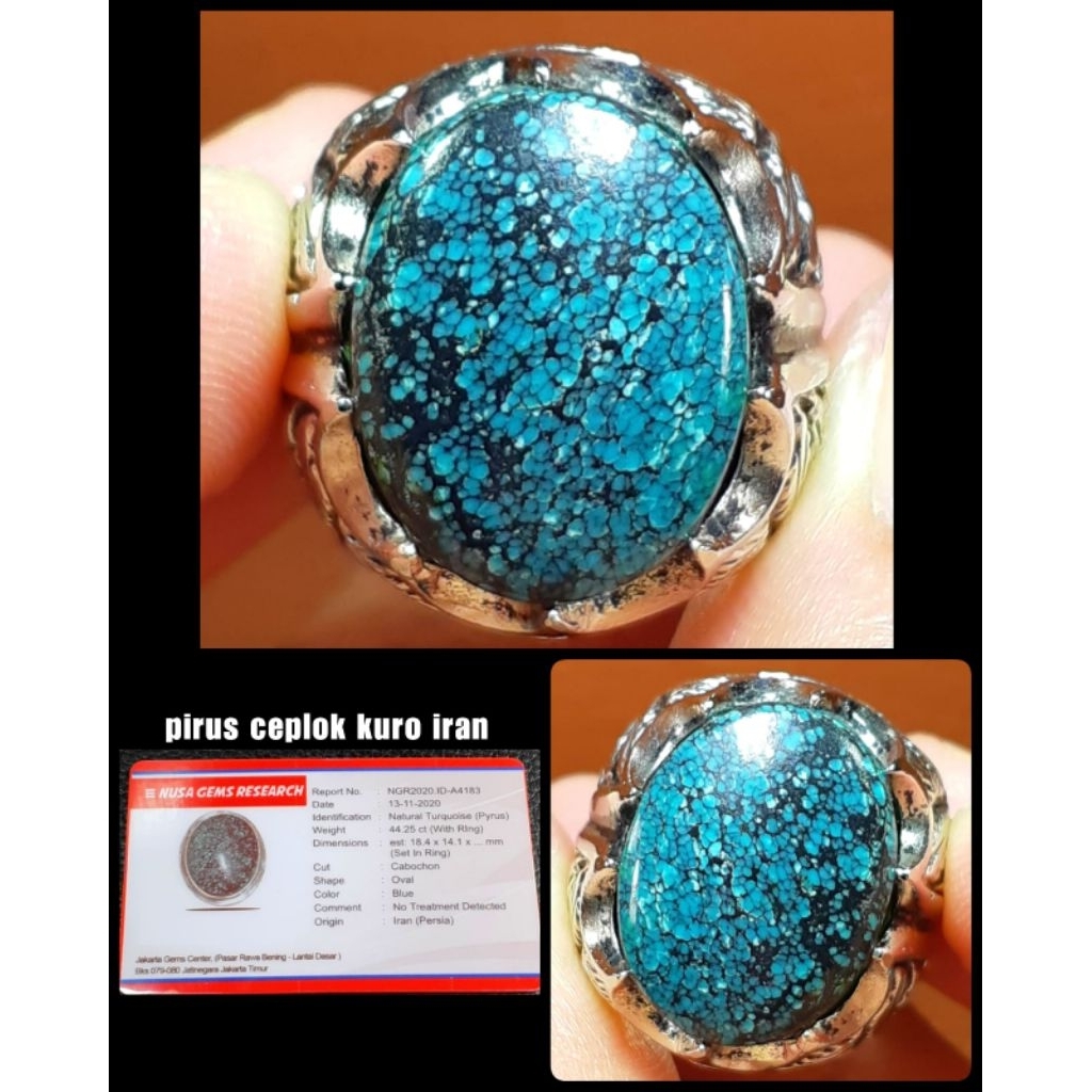 batu pirus blue persian kelas kontes asli iran