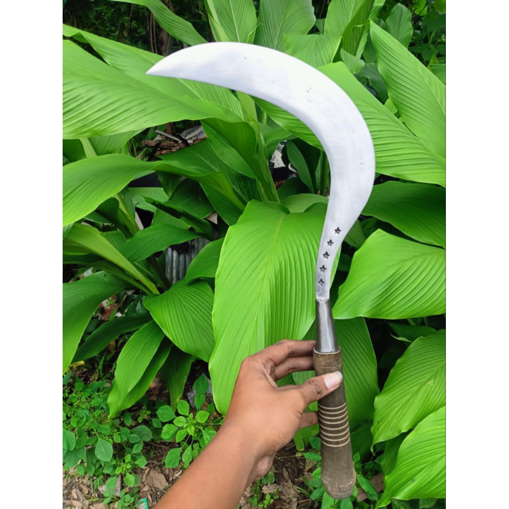 arit khusus rumput ORI cap bintang 5 asli baja