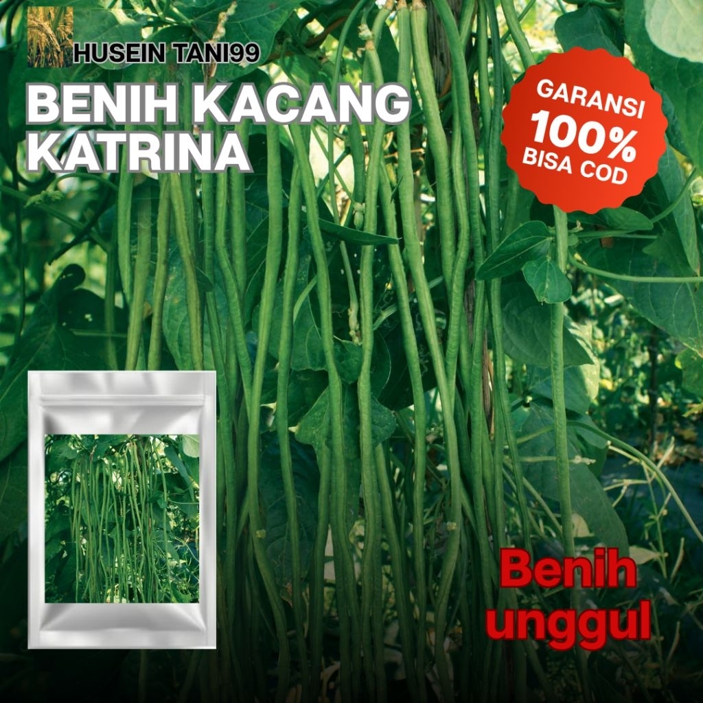 100 biji benih Kacang Panjang Katrina unggul