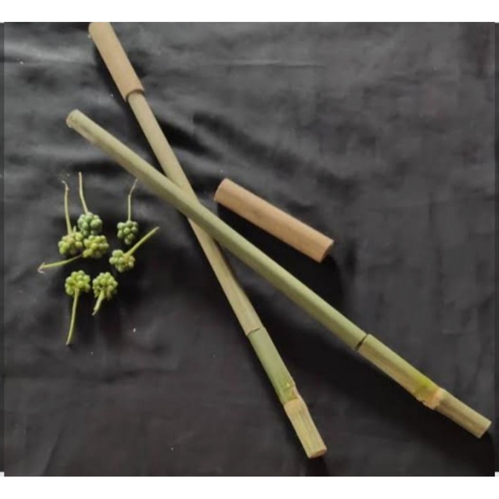 pletokan mainan tradisional bambu mainan anak