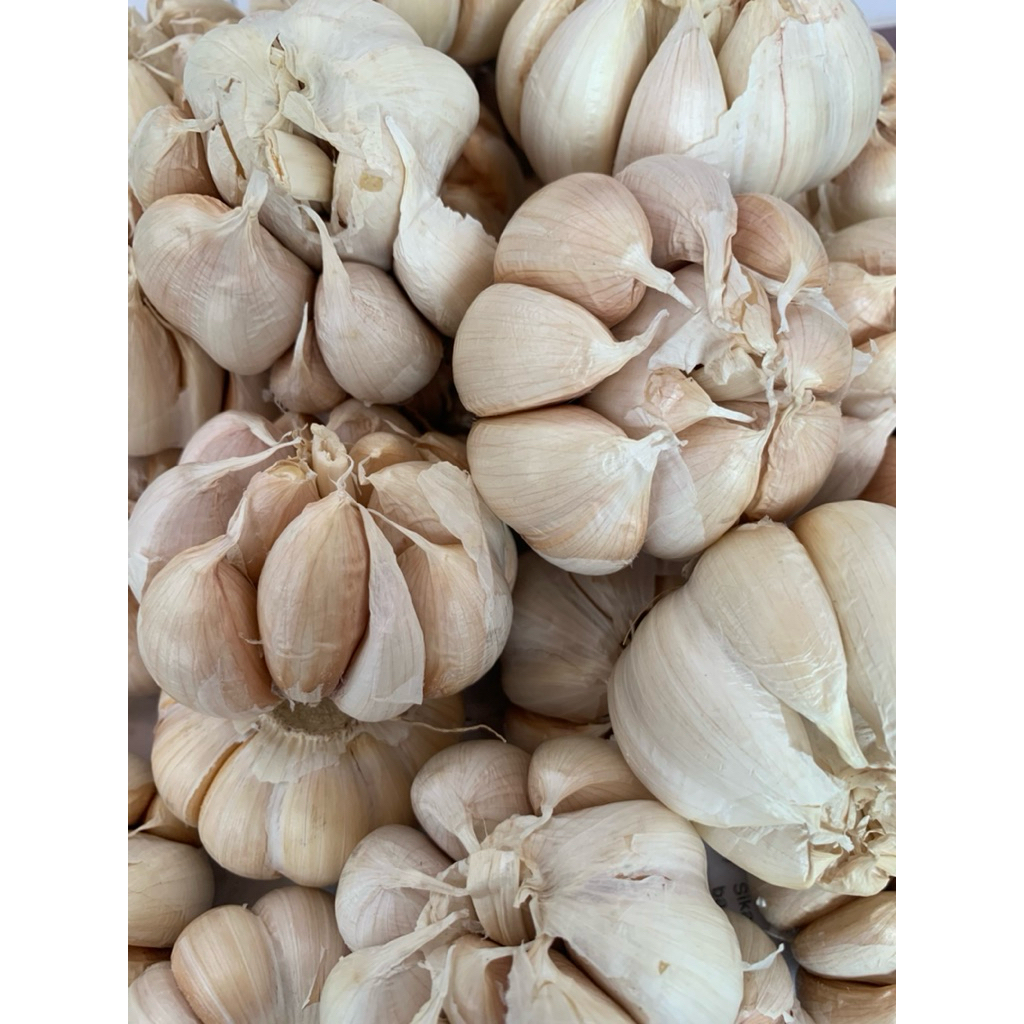 Bawang putih 500Gram,1000G/1Kg