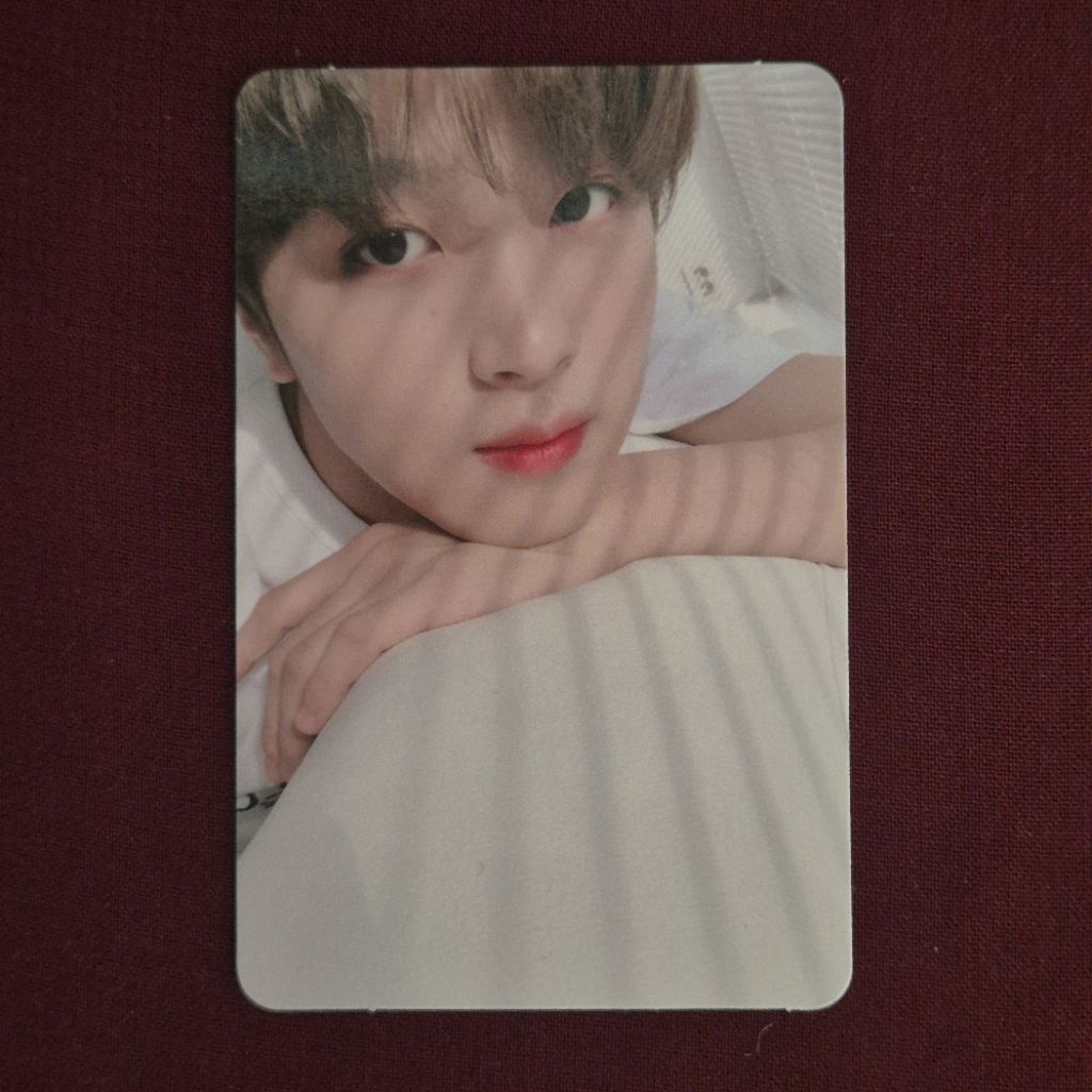 PC NCT HAECHAN OFFICIAL REGULATE BOBOAN