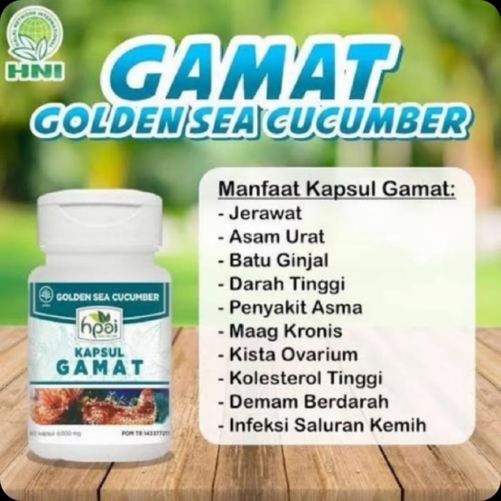 Gamat kapsul HNI