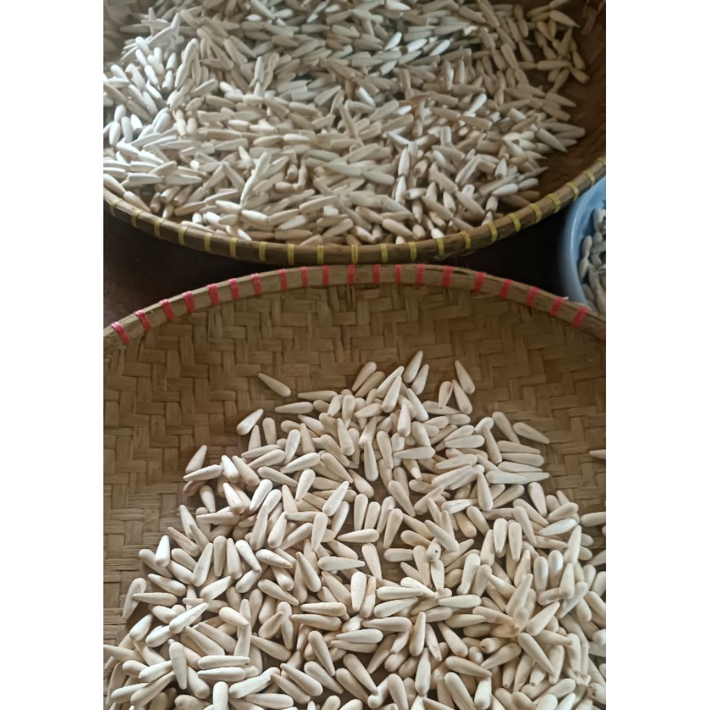 pelampung mentahan pangkal buaya(bali)termurah
