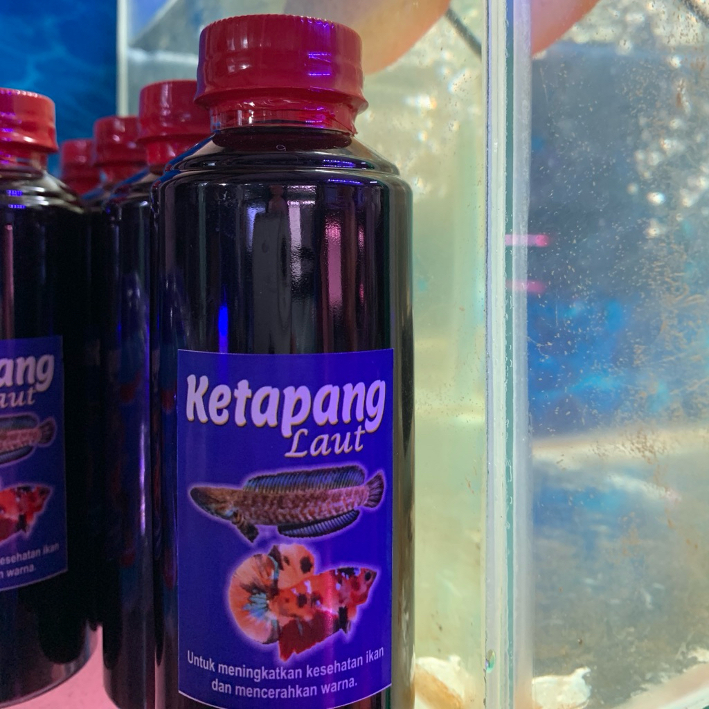 EKSTRAK KETAPANG LAUT / EXTRA KETAPANG LAUT / KETAPANG CAIR