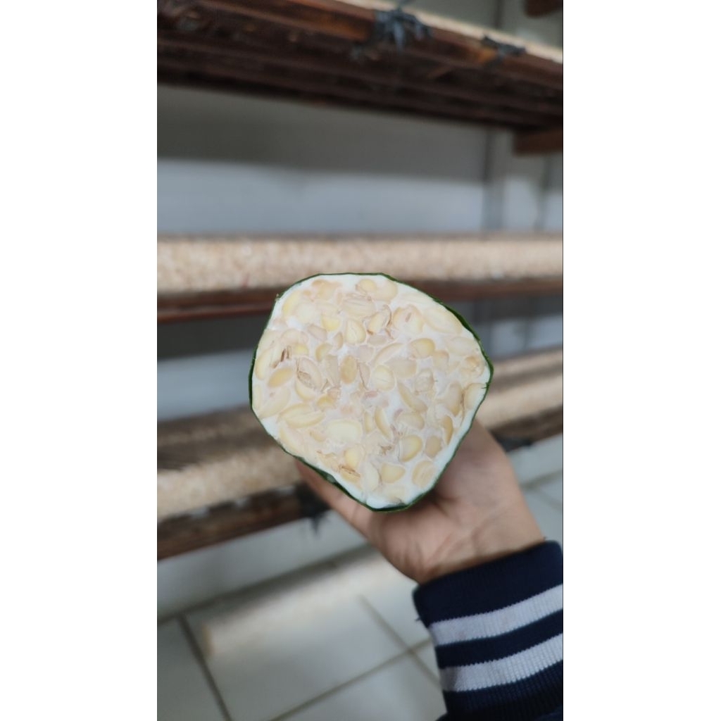 Tempe MBG | Tempe Super Raos | 800g