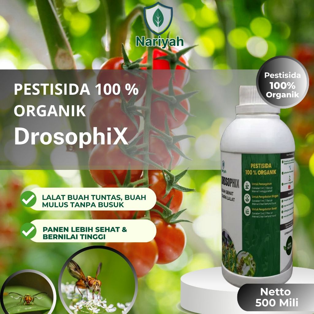 Obat Lalat Obat Lalat Buah Ampuh 500ml – DrosophiX Pestisida Nabati Cabai Tomat Terong Anti Busuk & 