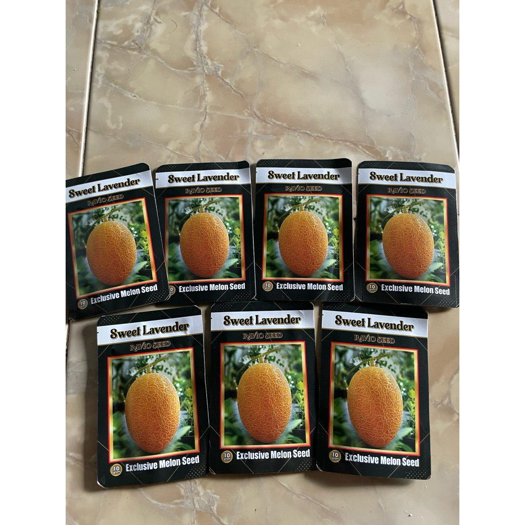 Benih melon Lavender