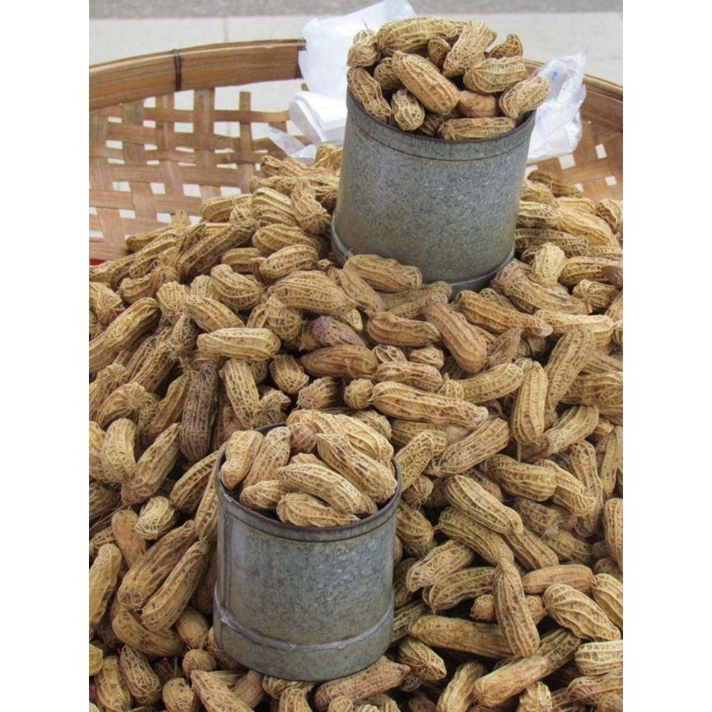 kacang tanah basah 500gr