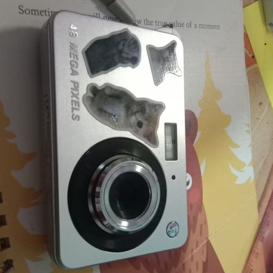 Digicam vintage