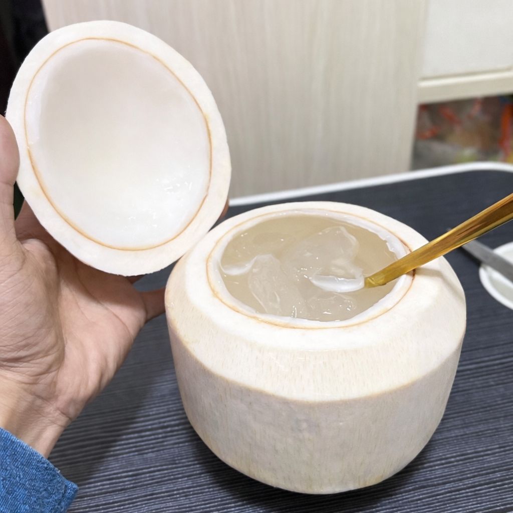 jelly coconut kelapa muda