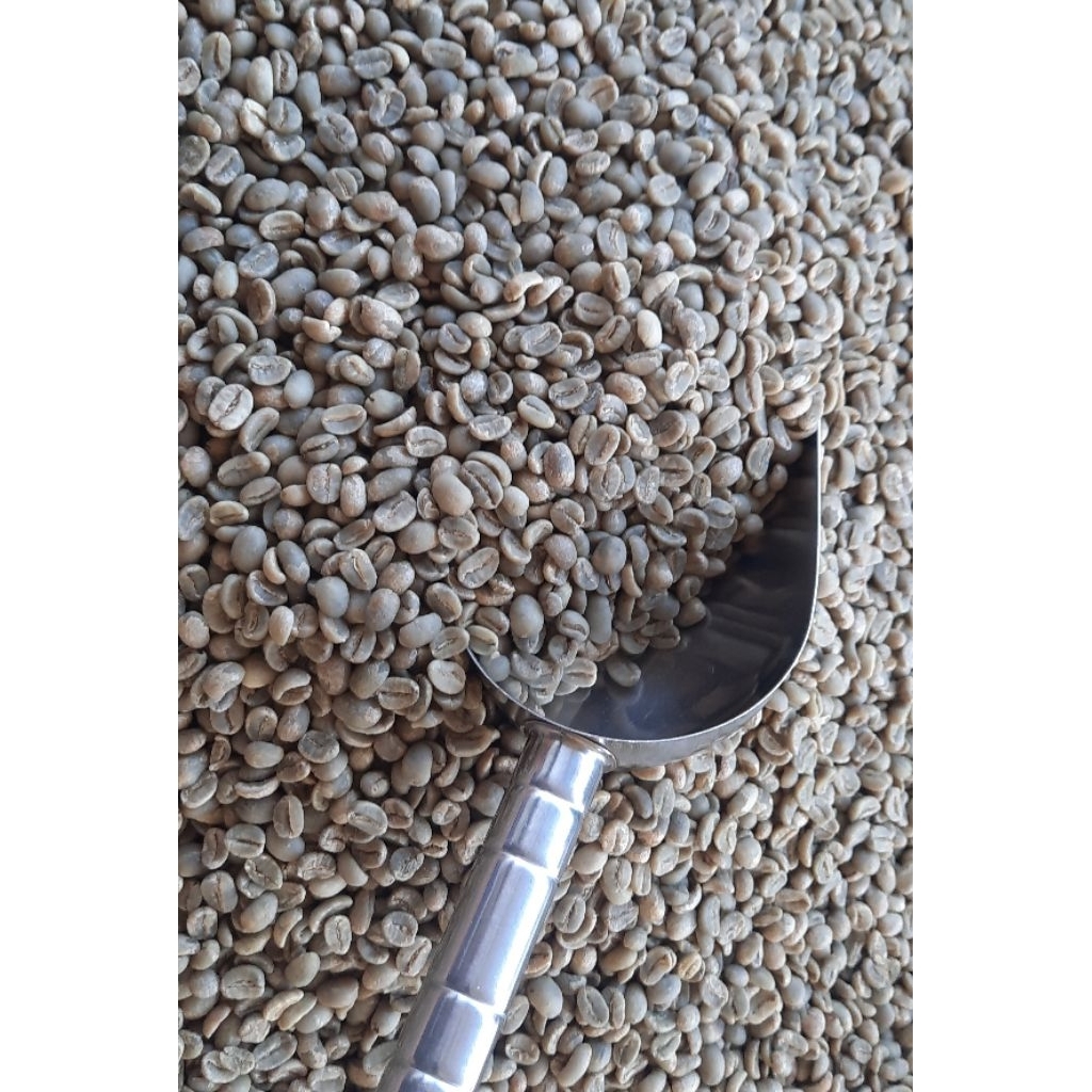 Green Beans Biji Kopi Mentah Arabika Bengkulu 1000 gr