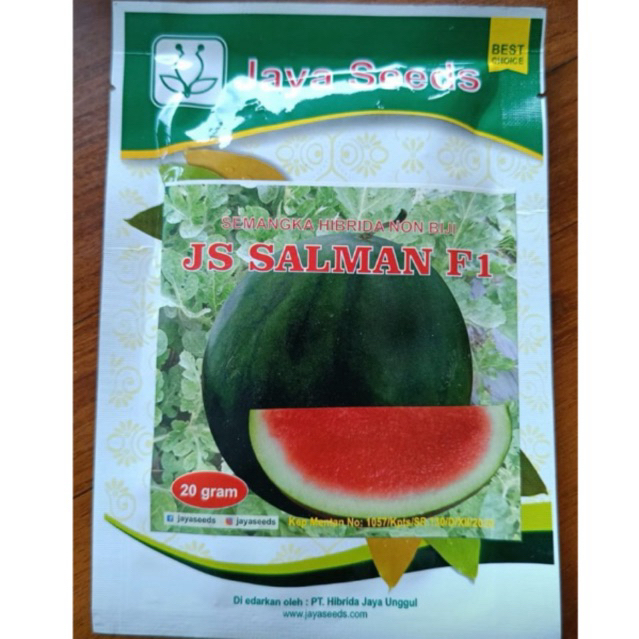 benih semangka non biji f1 js salman jaya seed