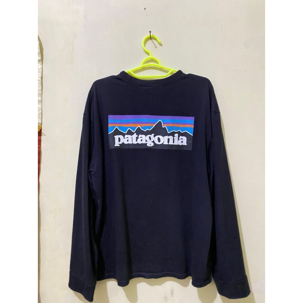 Patagonia loongsleve second